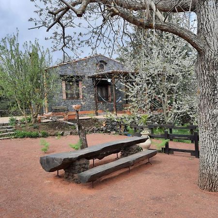 הוילה ברונטה Casa Etna מראה חיצוני תמונה