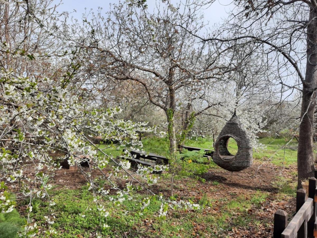 הוילה ברונטה Casa Etna מראה חיצוני תמונה