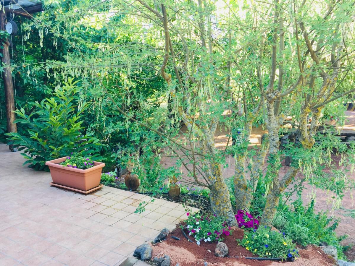 הוילה ברונטה Casa Etna מראה חיצוני תמונה