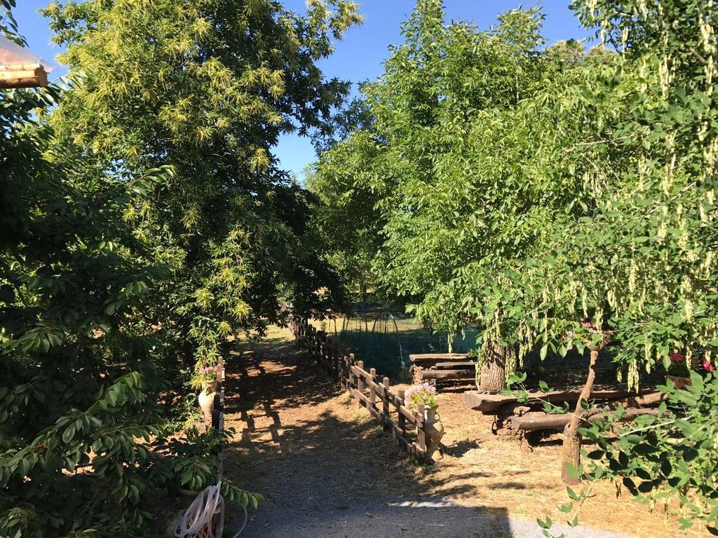 הוילה ברונטה Casa Etna מראה חיצוני תמונה