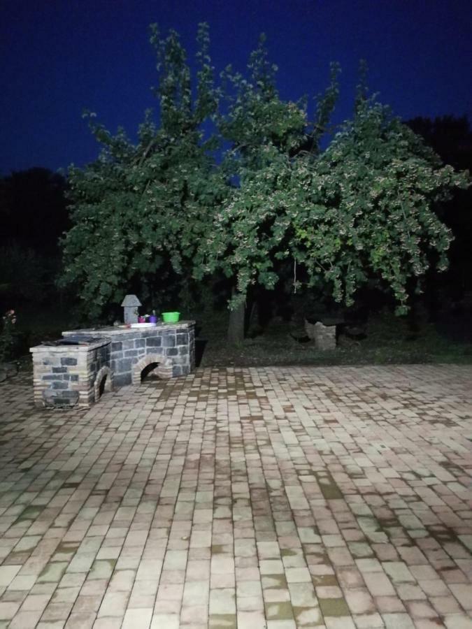 הוילה ברונטה Casa Etna מראה חיצוני תמונה